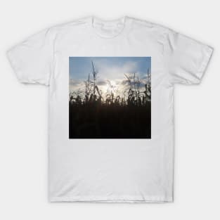 Corn Field Sunset T-Shirt